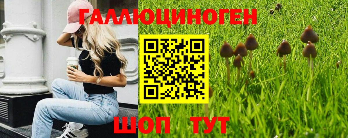 Галлюциногенные грибы GOLDEN TEACHER  Вход с VPN  Кумертау 