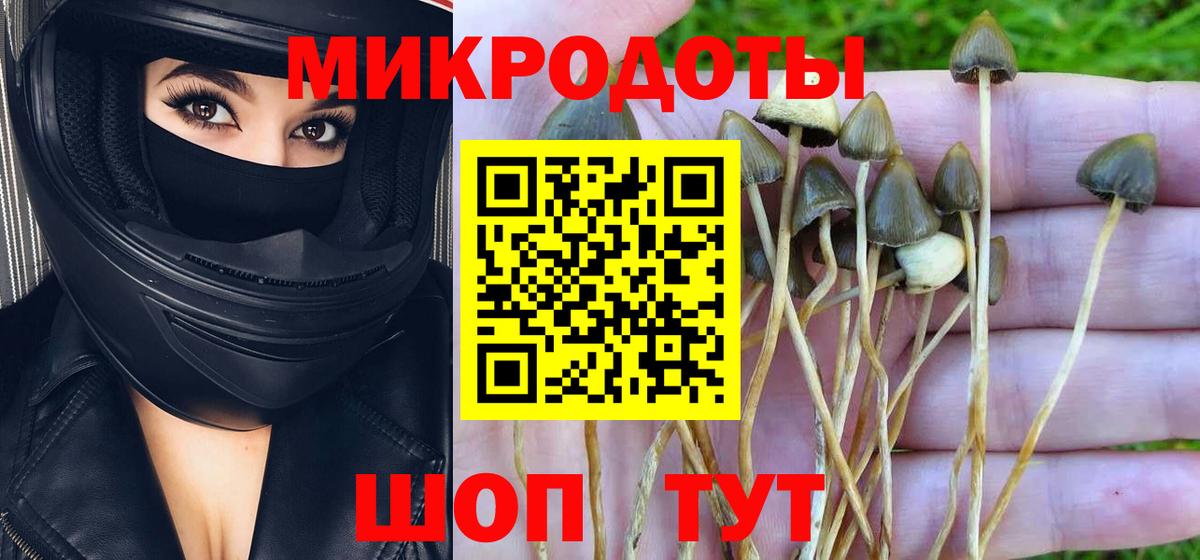 Псилоцибиновые грибы мухоморы Кумертау